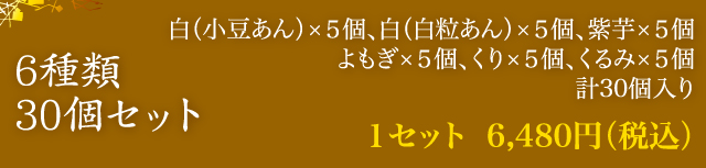 6種類30個セット